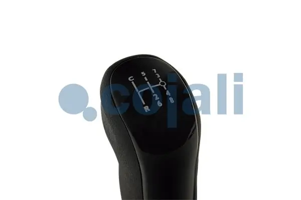 Pommeau COJALI 2880267