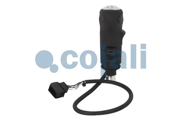 Pommeau COJALI 2880195