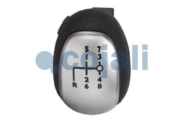 Pommeau COJALI 2880195