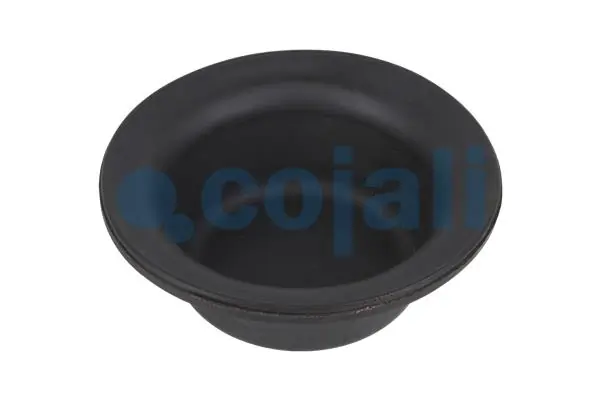 Diaphragme, cylindre à ressort COJALI 6001104