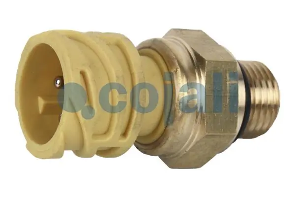 Capteur COJALI 2260284