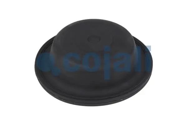 Diaphragme, cylindre à ressort COJALI 6001105