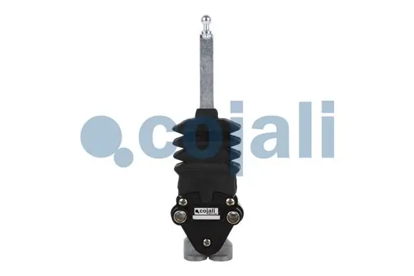 Valve de suspension pneumatique COJALI 2214509