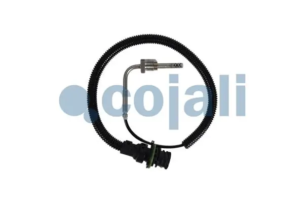 Capteur, température des gaz COJALI 2262004