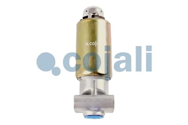Valve magnétique COJALI 2218220