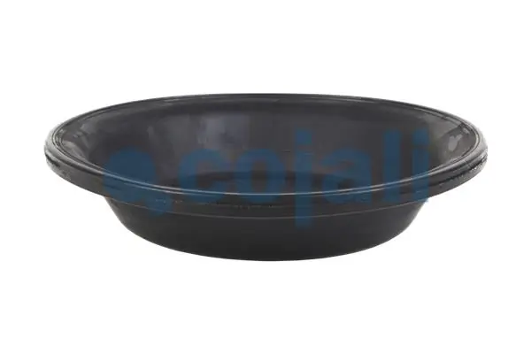 Diaphragme, cylindre à ressort COJALI 6001112