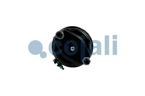 Cylindre de frein à ressort COJALI 2251569