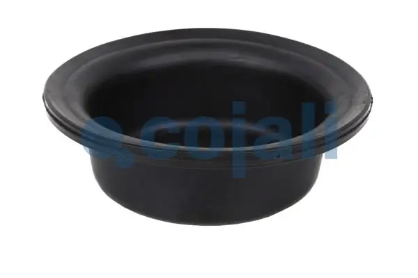 Diaphragme, cylindre à ressort COJALI 6001109