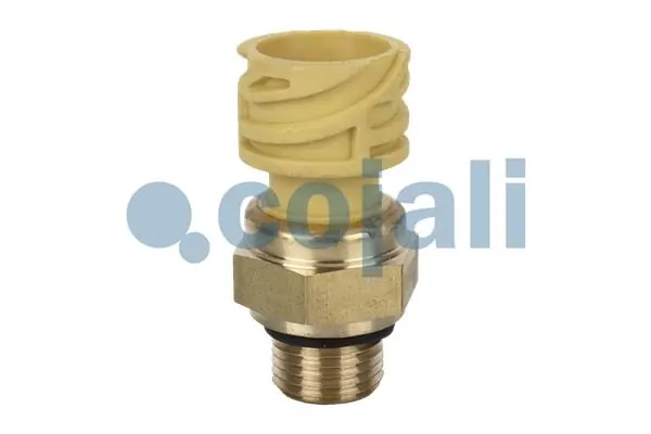 Capteur COJALI 2260284