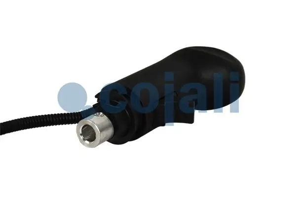 Pommeau COJALI 2880267