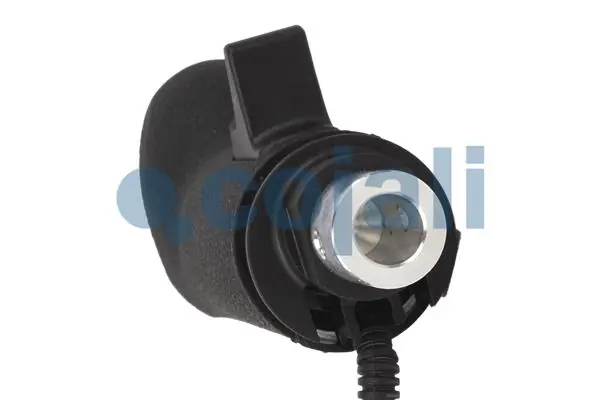 Pommeau COJALI 2880195