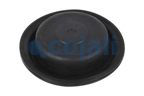 Diaphragme, cylindre à ressort COJALI 6001114