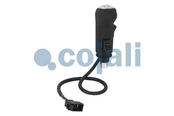 Pommeau COJALI 2880195