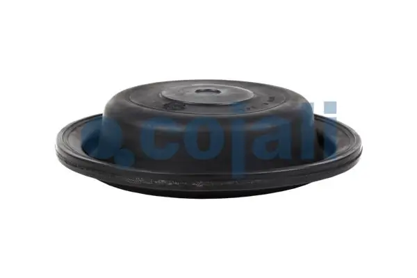 Diaphragme, cylindre à ressort COJALI 6001114