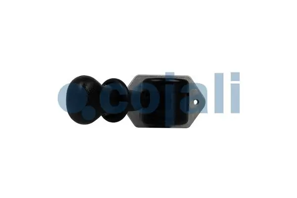 Гальмівний клапан стоянкового гальма COJALI (2224612)