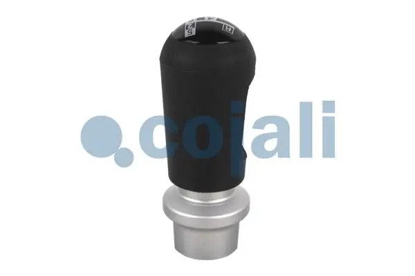 Pommeau COJALI 2880176