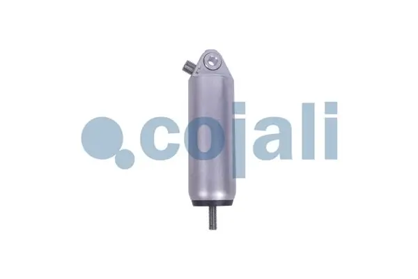 Пневматичний робочий циліндр COJALI (2801001)