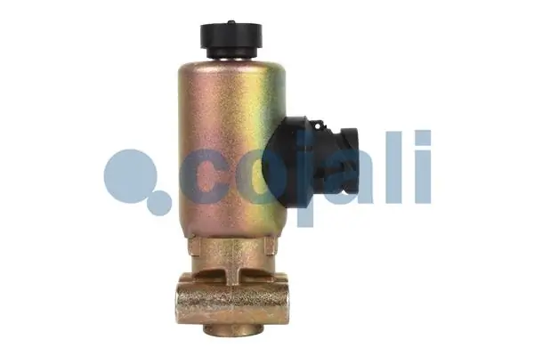 Valve magnétique COJALI 2218210