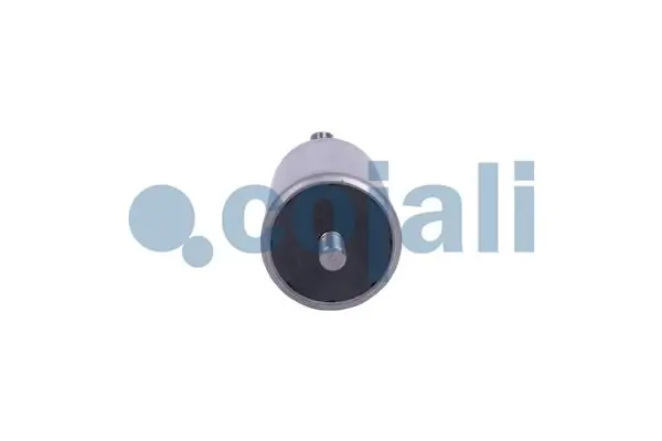 Vérin COJALI 2301402