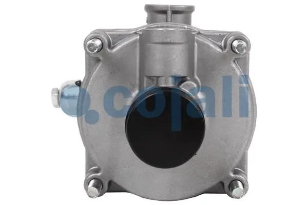 Relais, ALB COJALI 2220358