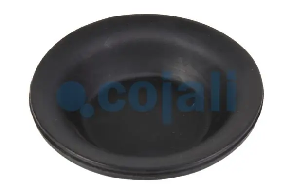 Diaphragme, cylindre à ressort COJALI 6001100