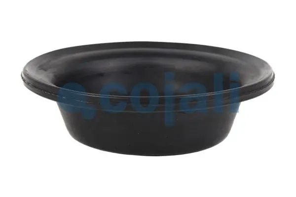 Diaphragme, cylindre à ressort COJALI 6001107