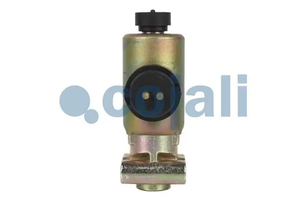 Valve magnétique COJALI 2218205