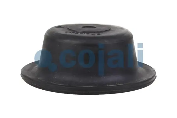 Diaphragme, cylindre à ressort COJALI 6001104