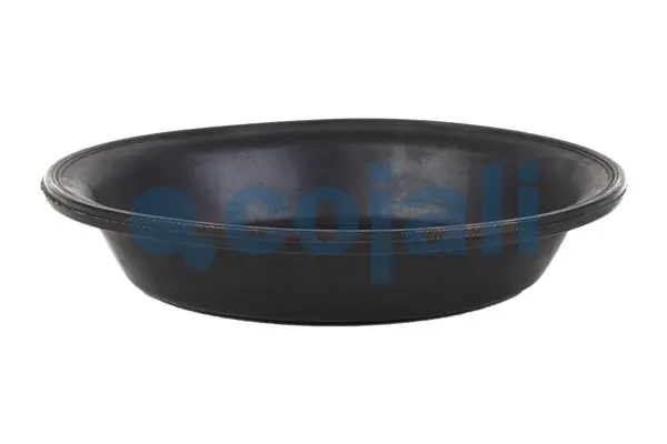 Diaphragme, cylindre à ressort COJALI 6001124