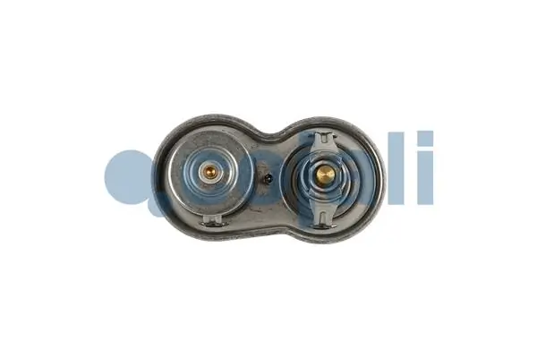 Thermostat, liquide de refroidissement COJALI 2880279