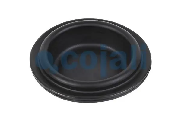 Diaphragme, cylindre à ressort COJALI 6001110