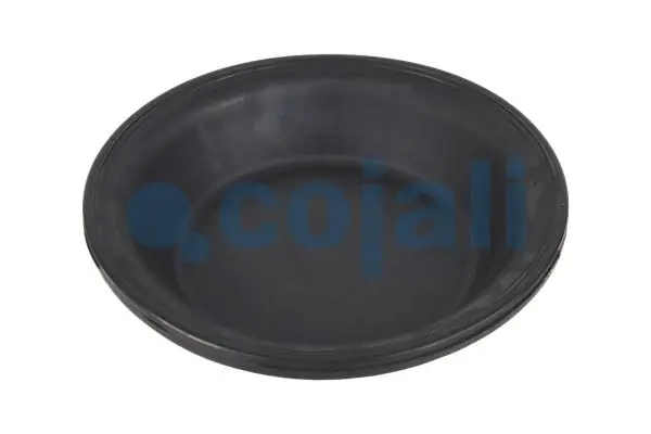 Diaphragme, cylindre à ressort COJALI 6001112