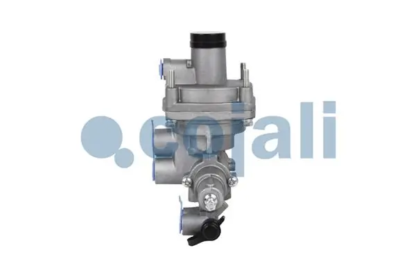 Relais, ALB COJALI 2220400