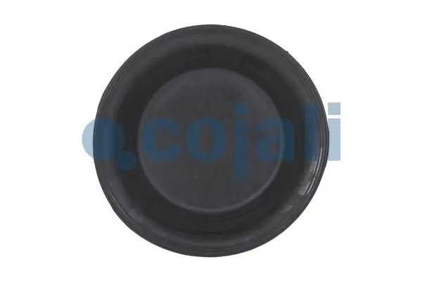 Diaphragme, cylindre à ressort COJALI 6001112