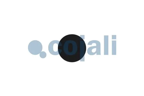 Kit de réparation COJALI 6002242