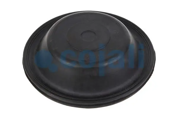 Diaphragme, cylindre à ressort COJALI 6001100