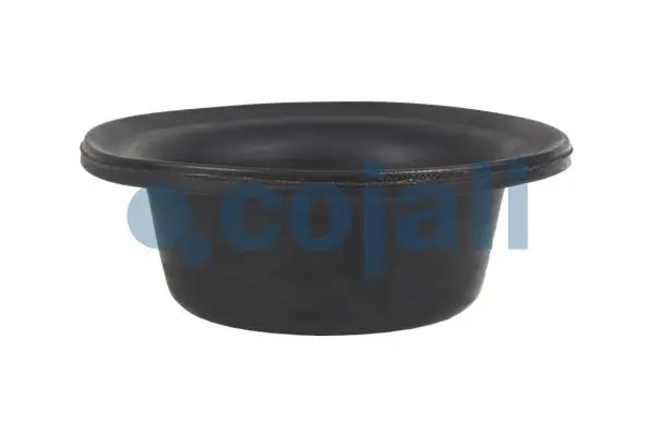 Diaphragme, cylindre à ressort COJALI 6001104