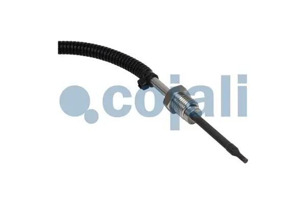 Capteur, température des gaz COJALI 2262005