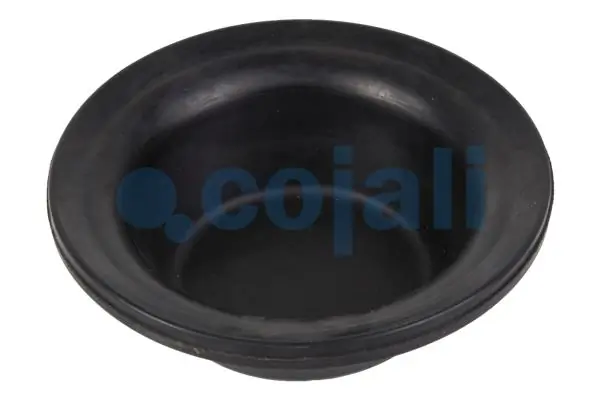 Diaphragme, cylindre à ressort COJALI 6001101