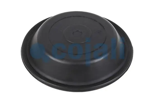 Diaphragme, cylindre à ressort COJALI 6001116