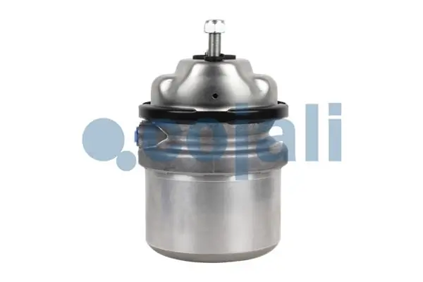 Cylindre de frein à ressort COJALI 2351318