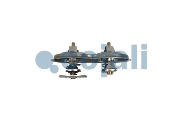 Thermostat, liquide de refroidissement COJALI 2880279