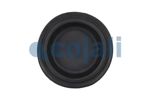 Diaphragme, cylindre à ressort COJALI 6001114