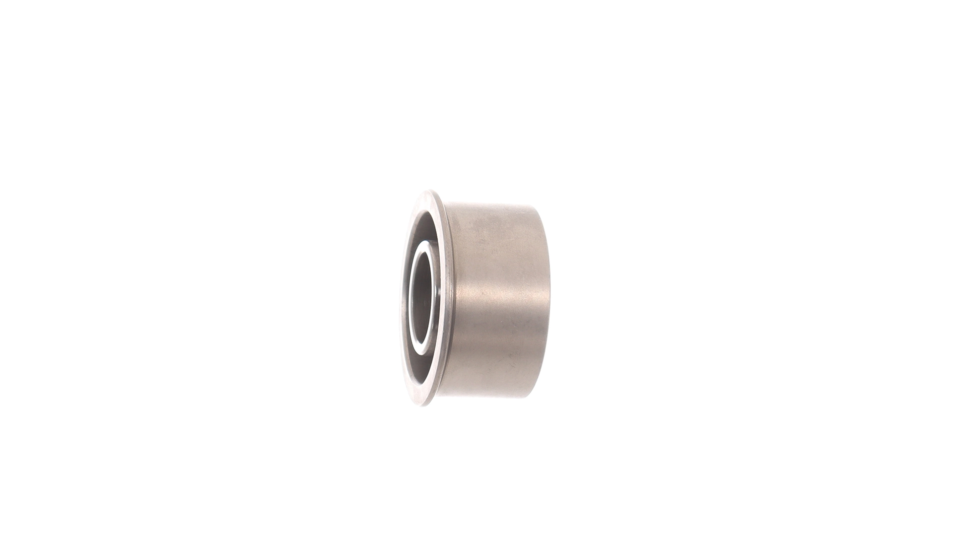 Направляючий/паразитний ролик ременя ГРМ SKF (VKM 81400)