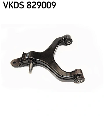 VKDS 829009