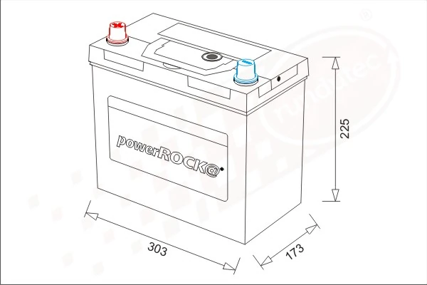 Starter Battery