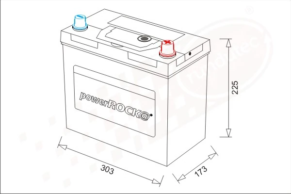 Starter Battery