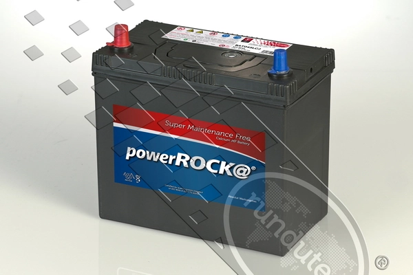 Starter Battery