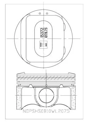 Piston