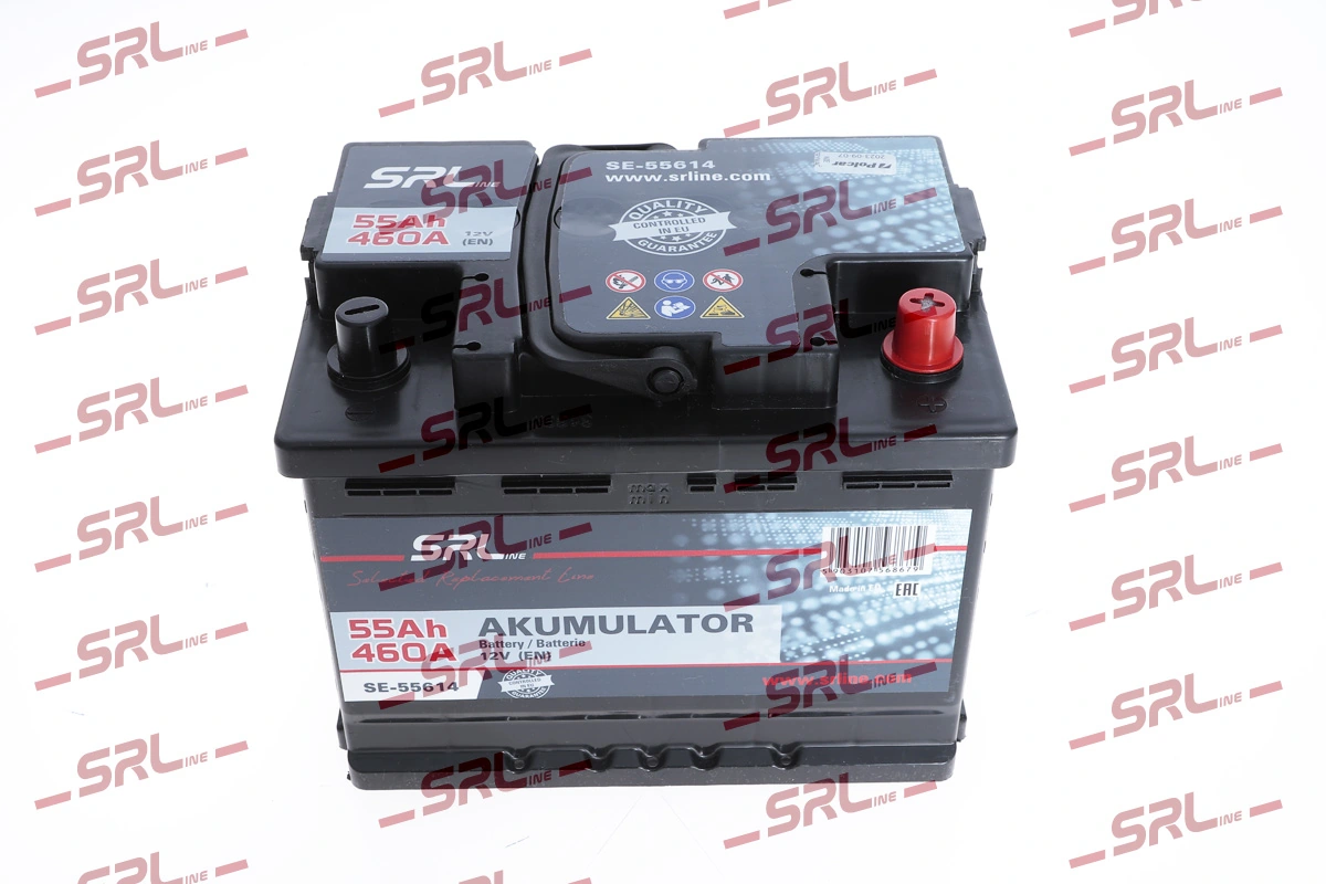 Starter Battery